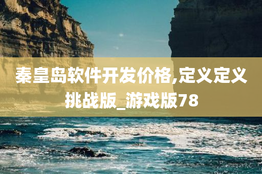 秦皇岛软件开发价格,定义定义挑战版_游戏版78