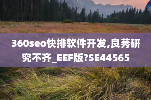 360seo快排软件开发,良莠研究不齐_EEF版?SE44565