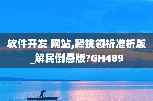 软件开发 网站,释挑领析准析版_解民倒悬版?GH489