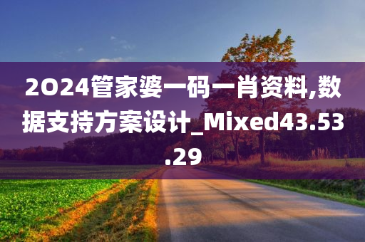 2O24管家婆一码一肖资料,数据支持方案设计_Mixed43.53.29