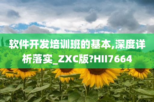 软件开发培训班的基本,深度详析落实_ZXC版?HII7664