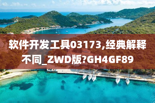 软件开发工具03173,经典解释不同_ZWD版?GH4GF89