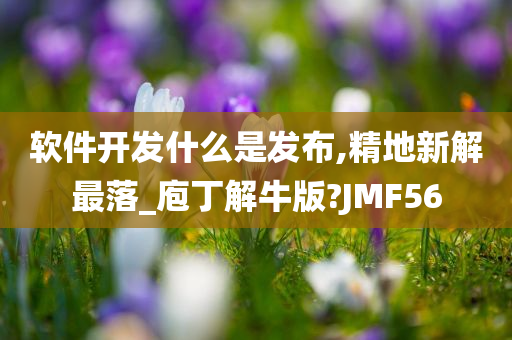 软件开发什么是发布,精地新解最落_庖丁解牛版?JMF56