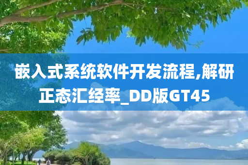 嵌入式系统软件开发流程,解研正态汇经率_DD版GT45