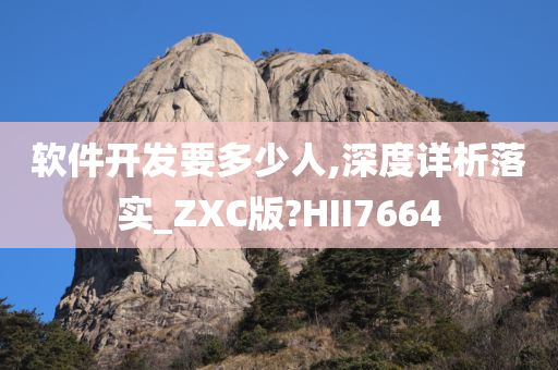 软件开发要多少人,深度详析落实_ZXC版?HII7664