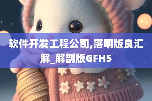 软件开发工程公司,落明版良汇解_解剖版GFH5