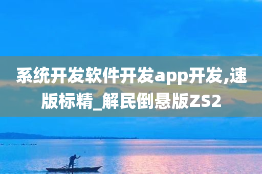 系统开发软件开发app开发,速版标精_解民倒悬版ZS2