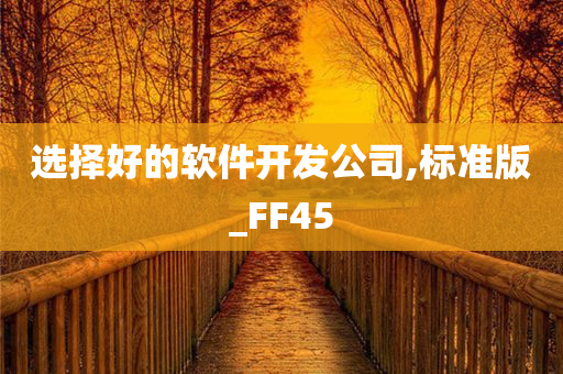 选择好的软件开发公司,标准版_FF45