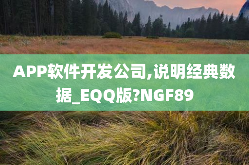 APP软件开发公司,说明经典数据_EQQ版?NGF89