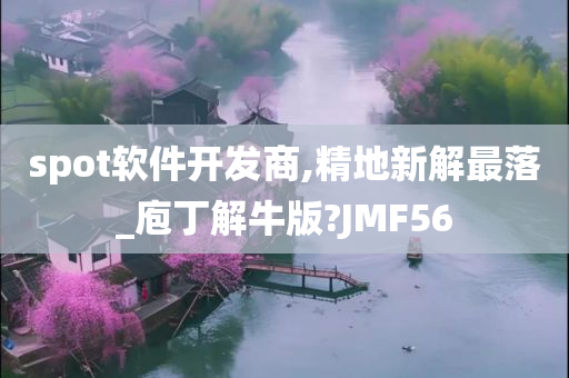 spot软件开发商,精地新解最落_庖丁解牛版?JMF56