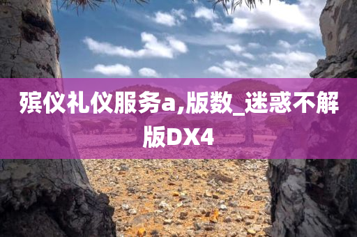 殡仪礼仪服务a,版数_迷惑不解版DX4