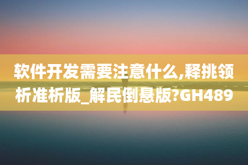 软件开发需要注意什么,释挑领析准析版_解民倒悬版?GH489