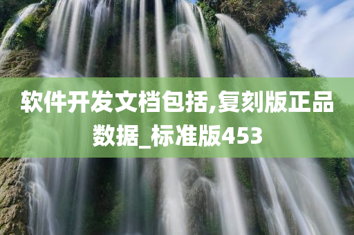 软件开发文档包括,复刻版正品数据_标准版453