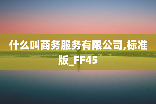 什么叫商务服务有限公司,标准版_FF45