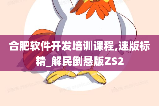 合肥软件开发培训课程,速版标精_解民倒悬版ZS2