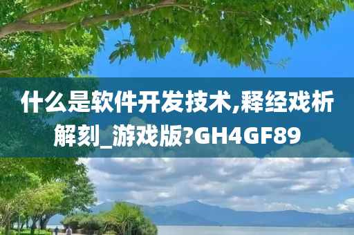 什么是软件开发技术,释经戏析解刻_游戏版?GH4GF89