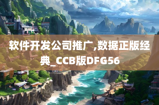 软件开发公司推广,数据正版经典_CCB版DFG56