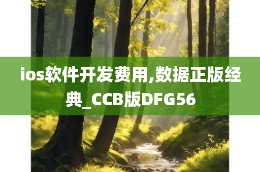 ios软件开发费用,数据正版经典_CCB版DFG56