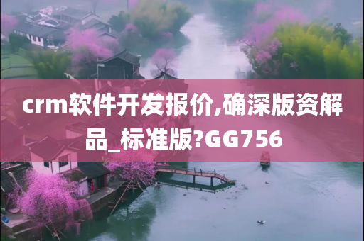 crm软件开发报价,确深版资解品_标准版?GG756