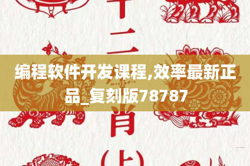 编程软件开发课程,效率最新正品_复刻版78787