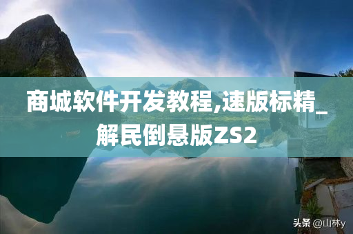 商城软件开发教程,速版标精_解民倒悬版ZS2