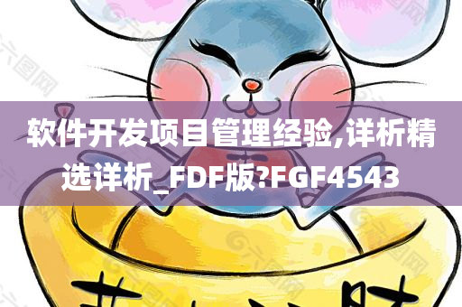 软件开发项目管理经验,详析精选详析_FDF版?FGF4543