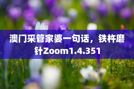 澳门采管家婆一句话，铁杵磨针Zoom1.4.351