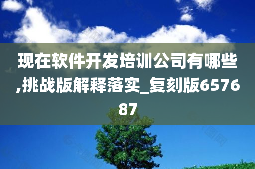 现在软件开发培训公司有哪些,挑战版解释落实_复刻版657687