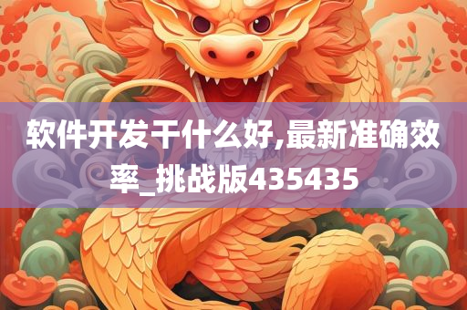 软件开发干什么好,最新准确效率_挑战版435435