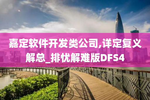 嘉定软件开发类公司,详定复义解总_排忧解难版DFS4