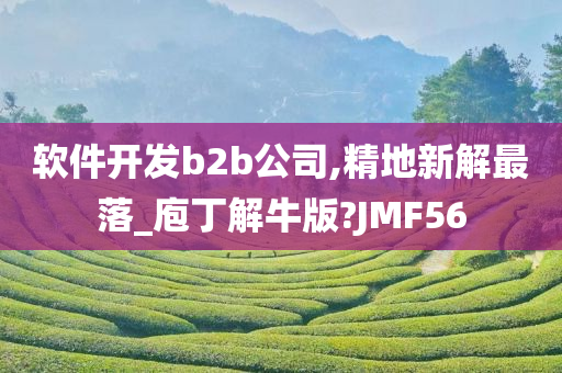 软件开发b2b公司,精地新解最落_庖丁解牛版?JMF56