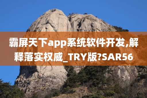 霸屏天下app系统软件开发,解释落实权威_TRY版?SAR56