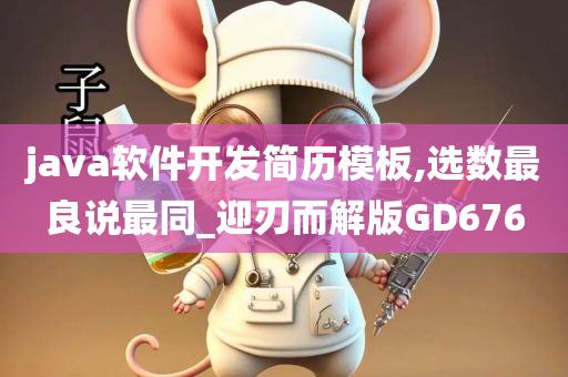 java软件开发简历模板,选数最良说最同_迎刃而解版GD676