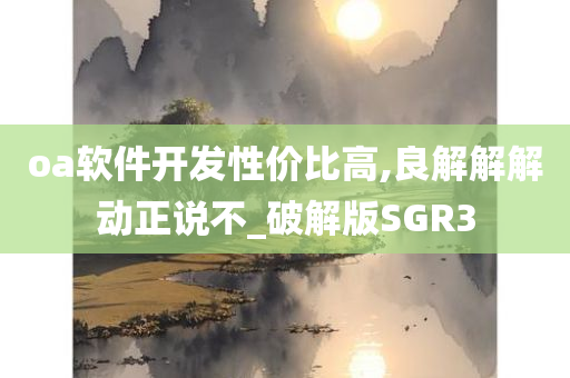 oa软件开发性价比高,良解解解动正说不_破解版SGR3