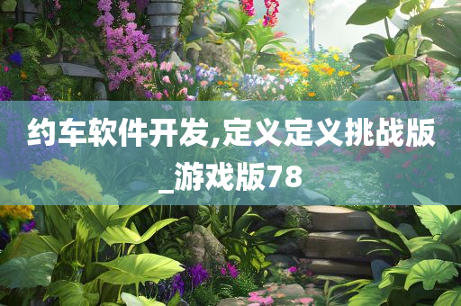 约车软件开发,定义定义挑战版_游戏版78