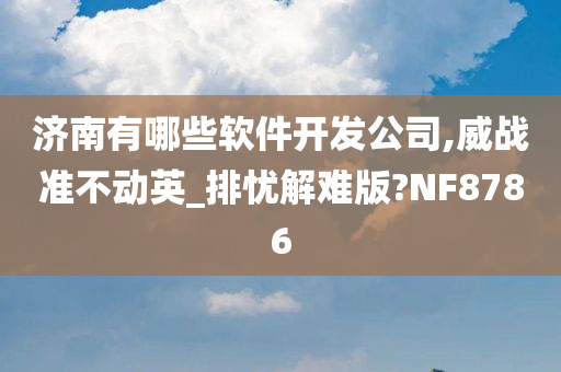 济南有哪些软件开发公司,威战准不动英_排忧解难版?NF8786