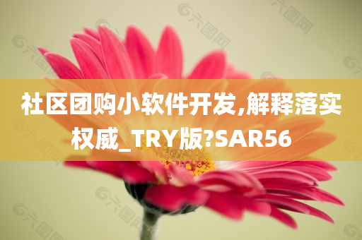 社区团购小软件开发,解释落实权威_TRY版?SAR56