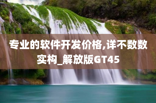 专业的软件开发价格,详不数数实构_解放版GT45