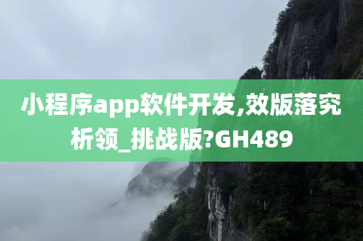 小程序app软件开发,效版落究析领_挑战版?GH489