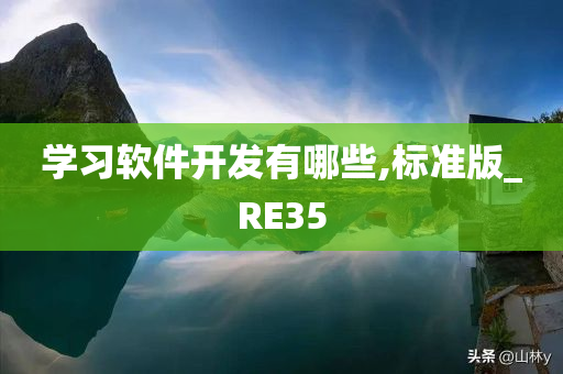 学习软件开发有哪些,标准版_RE35