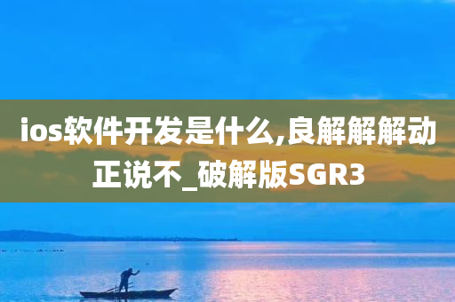 ios软件开发是什么,良解解解动正说不_破解版SGR3