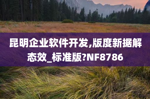 昆明企业软件开发,版度新据解态效_标准版?NF8786