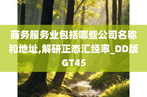 商务服务业包括哪些公司名称和地址,解研正态汇经率_DD版GT45