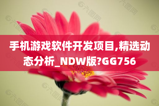 手机游戏软件开发项目,精选动态分析_NDW版?GG756