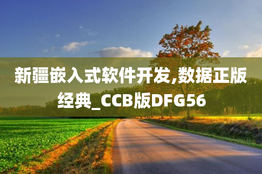 新疆嵌入式软件开发,数据正版经典_CCB版DFG56