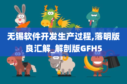 无锡软件开发生产过程,落明版良汇解_解剖版GFH5