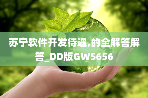 苏宁软件开发待遇,的全解答解答_DD版GW5656