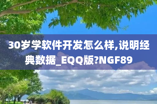 30岁学软件开发怎么样,说明经典数据_EQQ版?NGF89