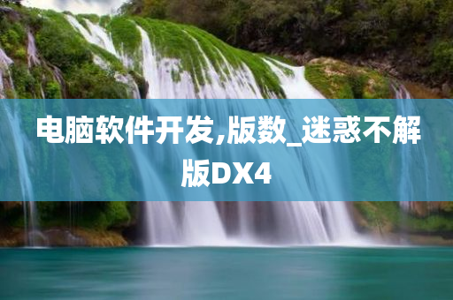 电脑软件开发,版数_迷惑不解版DX4