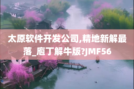 太原软件开发公司,精地新解最落_庖丁解牛版?JMF56